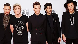 Celebrity One Direction All Go Solo - Whose Debut Was Best? Wealth