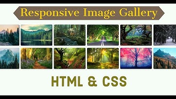 Modern responsive image gallery in html & css | Responsive image gallery HTML & CSS | Image Gallery