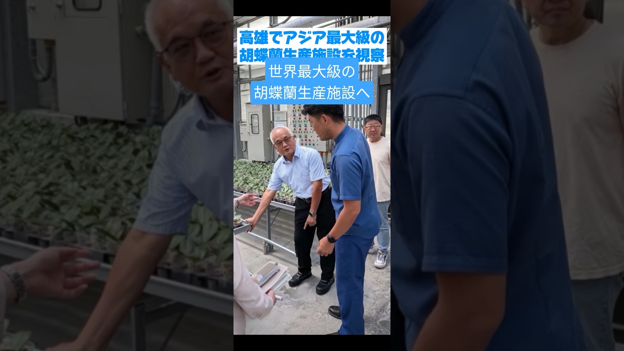 台湾視察前半 世界最大級の胡蝶蘭生産施設へ #せき健一郎 #日本維新の会 #衆議院議員