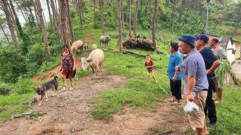 Biệt thự đồi thông dàn diễn viên điện tử trâu bò đầy đàn nay đã khác xưa rồi. Nguyễn Tất Thắng