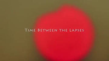 Time Between the Lapses by Steve Hinders