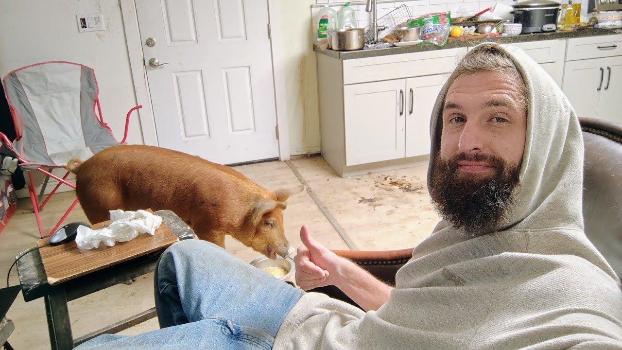 Пивоварение готово к действию с арт-объектом Farmer Boy #пиво