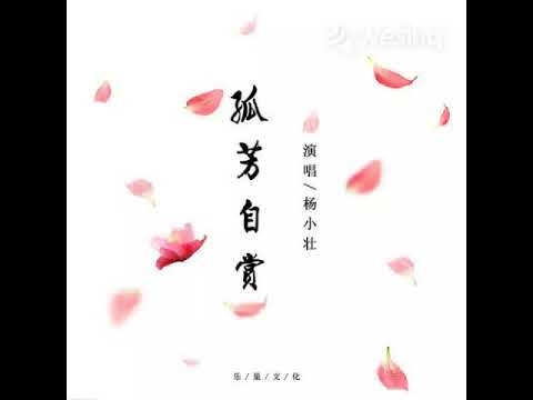孤芳自赏