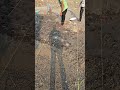 Column footing Markout at Afzalpur.🏗 #civil #construction #heavycivil #home #civilengineering #house