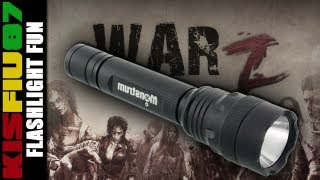 Flashlight Fun in WarZ