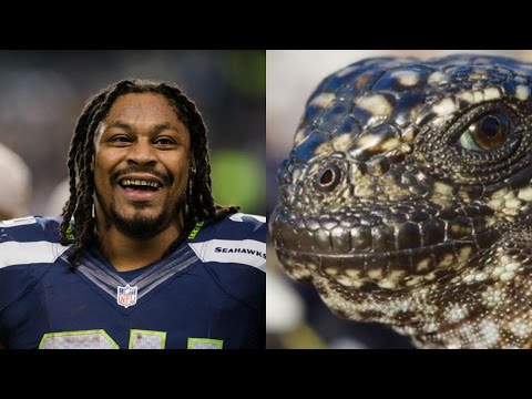 marshawn-lynch-narrates-planet-earth