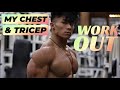 Top exercises for a massive chest  triceps pus.ay workout  ifbb pro nyle nayga