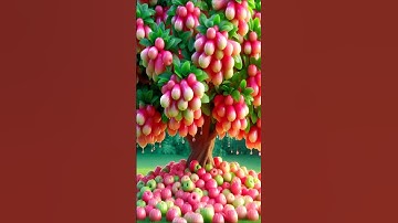 easy and fast method how to grow and propagate waxapple fruit trees #plant #shorts