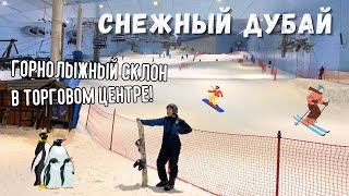 Горнолыжный курорт в пустыне - SKI DUBAI // песчаная буря, пальма Джумейра и музей будущего