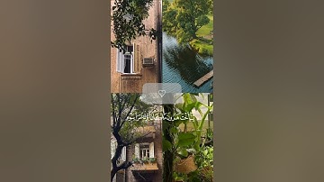 قرآن كريم | فأتت به قومها تحمله | مشاري راشد | أرح سمعك ♡