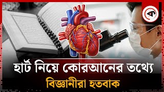 হার্ট নিয়ে কোরআনের তথ্য অবাক করল বিজ্ঞানীদের | Human Heart | Al Quran | Kalbela