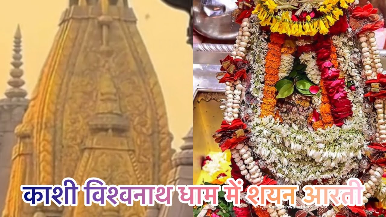 काशी विश्वनाथ धाम में शयन आरती 🙏❤️❤️#kashi #banaras #aarti #shiv #shyanaarti