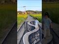 Amazing 3d Painting Art Just For Fun/3d Street Art/The Crevices Making of 3d street Art#shorts#3d