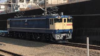武蔵野線の配6794レ・国鉄色のEF65電気機関車けん引、コキ、ホキなどが通過