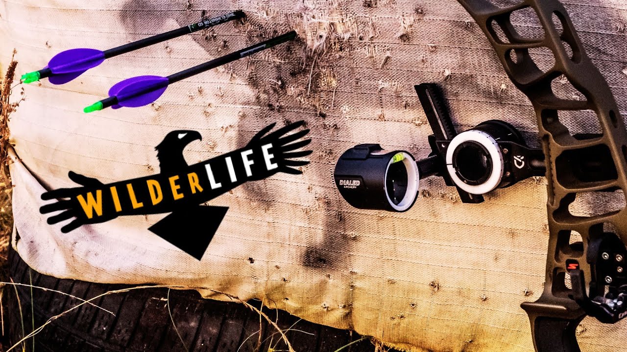 Dialed Arxos REVIEW/OVERVIEW Good sight for hunting? YouTube