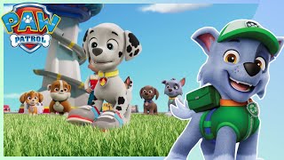 Trouble Walking In Shoes - Paw Patrol Pups Save Helga & The Humsquatch