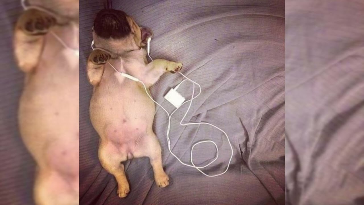 kid laroi post malone iann dior type beat - "summer"