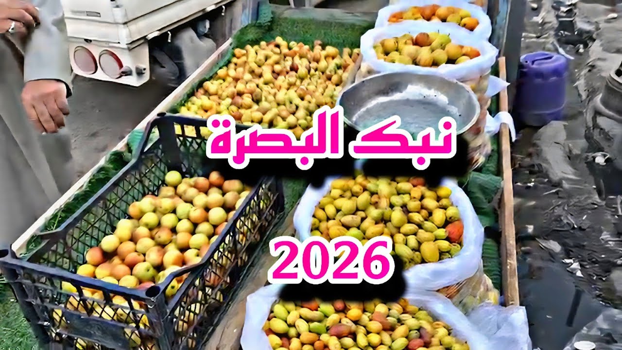نبك البصرة موسم 2026 في سوق البصرة القديمة و سوق العشار #أحمد_مهدي 