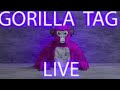 🔴LIVE🔴 GTAG REPORTING CHEATERS🔴LIVE🔴