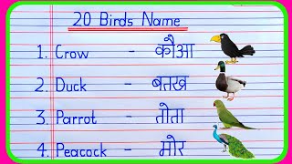 20 birds name in hindi and english | birds name | pakshiyon ke naam | पक्षियों के नाम