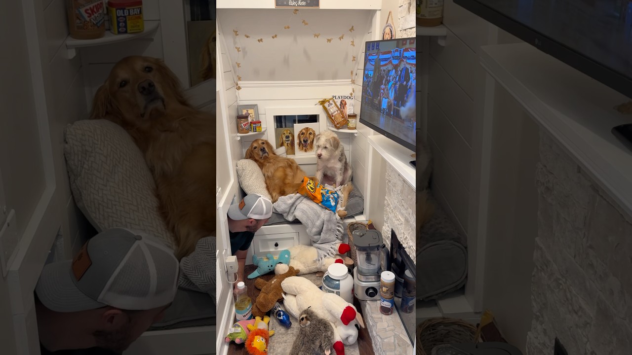 RIP to Teddy&lsquo;s doghouse&hellip; ￼