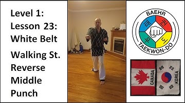 Baehr Taekwondo: Lesson 01-23: White Belt: Walking Stance - Reverse Middle Punch