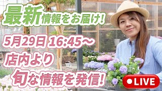 5月29日(水)16:45〜ライブ配信【今植える？これからの植物】店内より気になる品種。ご紹介