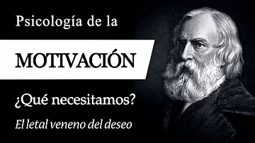 O que é motivação e como ela pode influenciar no desempenho organizacional?