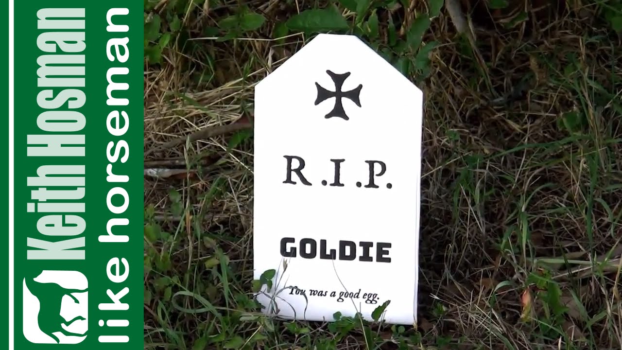 Repair Leaks Stock Tanks/Horse Water Troughs (Galvanized) YouTube