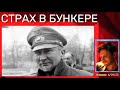 🔴 Привет ДВОРЦУ бункерного