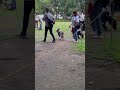 PET LOVERS #shorts #youtubeshorts #viral #trending