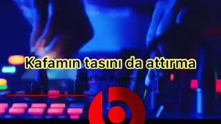 1beatsaudio/Ziynet Sali-Sanane Be Resimi