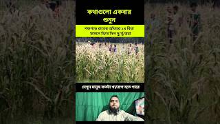 রাতের আঁধারে ১৪ বিঘা ফসলে বি/শ দিল দু/র্বৃত্তরা
