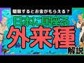 駆除するとお金がもらえる？日本に居座る外来種問題