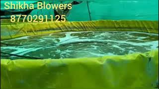2 hp root blower, Shikha Blowers, shrimp air blower, aquaculture pump, aeration blower, fish pump