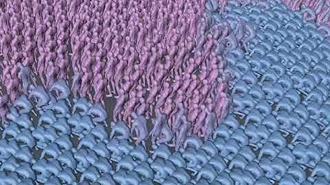 time offset multi instance