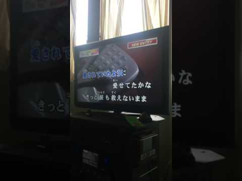 JONTE ゆれる