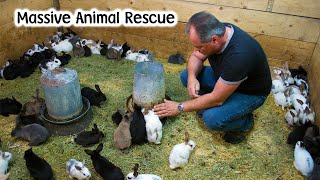 Massive Rabbit Rescue - Over 350 Rabbits Come in to the Farm - Vlog #281
