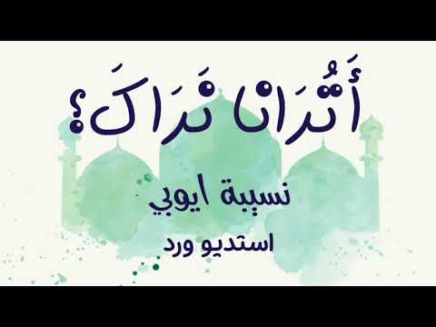 أترانا نراك دون إيقاع نسيبة أيوبي مديح نبوي حفلات صبايا