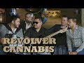 REVOLVER CANNABIS DEMUESTRA POR QUÉ SON LOS MÁS PEDIDOS - Pepe's Office