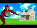 I Hosted a 1000 Shiny Rock Build Battle Tournament!