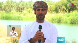 مفردات طبيعية تحكي الجمال في وادي طيوي