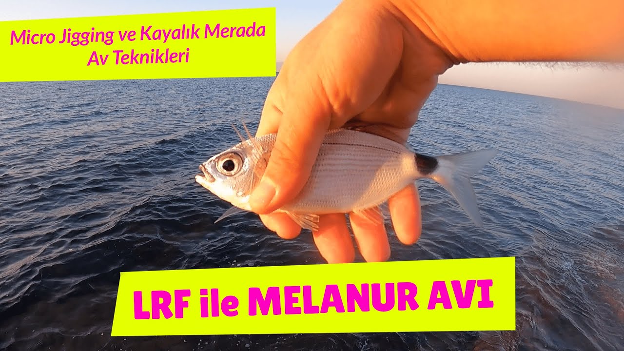 LRF ile MELANUR AVI | MİCRO JİG AKSİYONLARI | HANFISH SLAP JIG