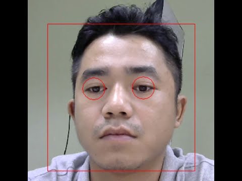 Nhận diện mắt và khuôn mặt sử dụng LabVIEW và OpenCV