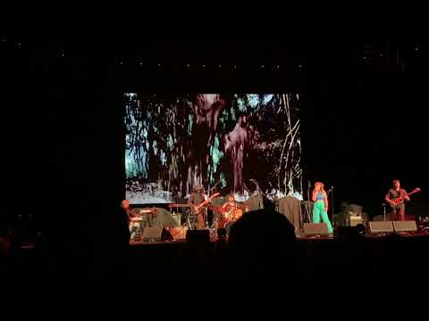Guerilla Toss (Live