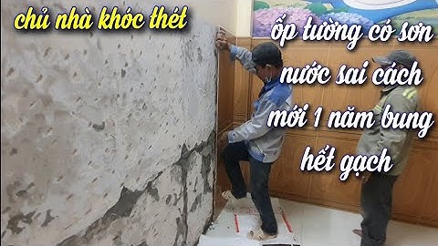 cải tạo ốp gạch tường 80×80 tường có sơn nước đúng cách #638