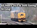 20 mins of class 37 warriors still going strong 60 years later