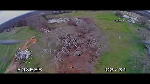 Shark Byte First Flight