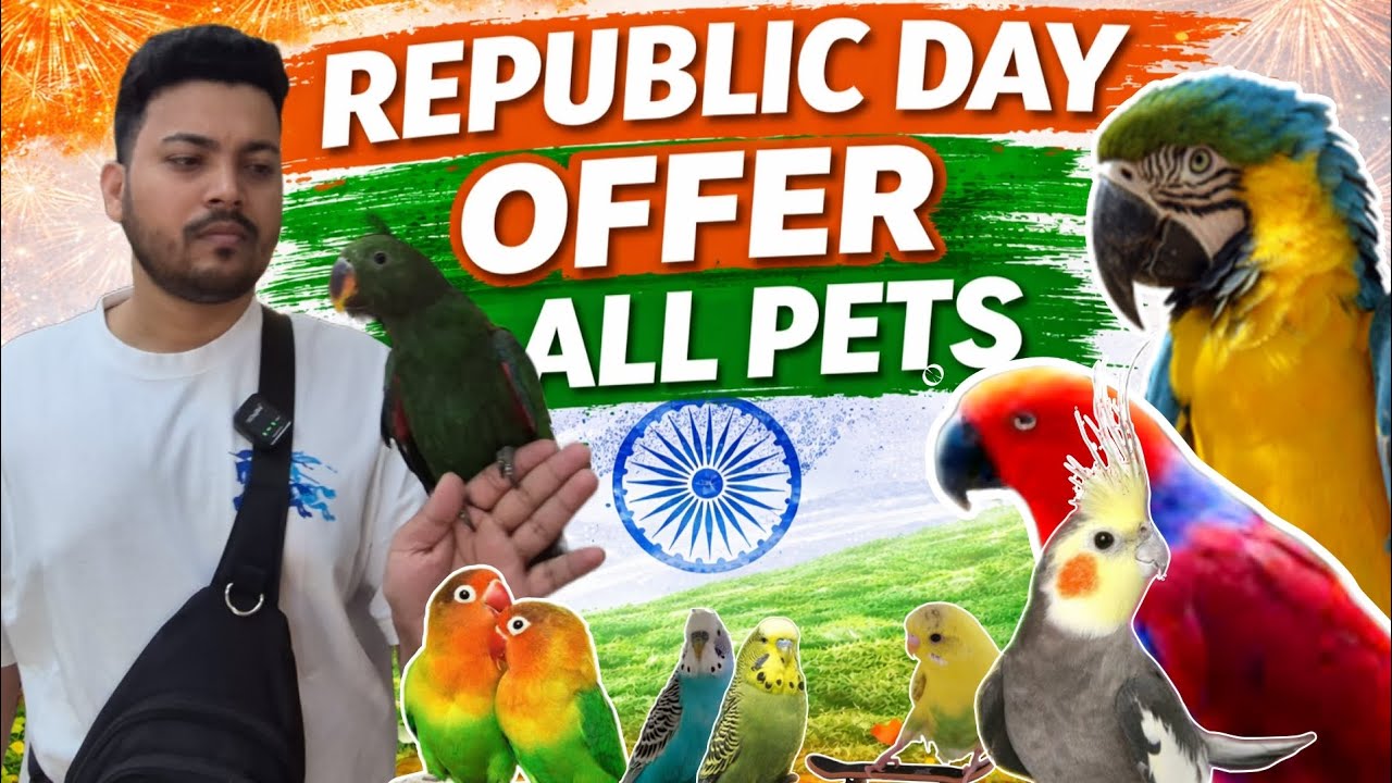 Mumbai की सबसे सस्ती shop | free birds | exotic birds | Cheapest pet market | Wajid pet shop