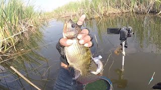 Crazy‼️My Line Snapped From a Fish Pulling at This Spot